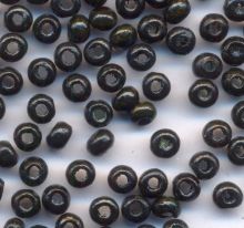 1400 Perles en bois Rondes noir
 3x4mm...taille du trou = 1.4 mm